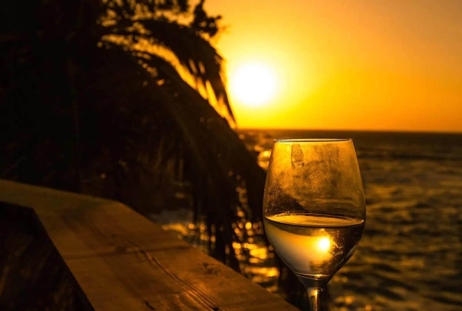 Cabarete Ecolodge Maravilla Beachfront,Encuentro, Surf, Kite 0*,  Dominican Republic